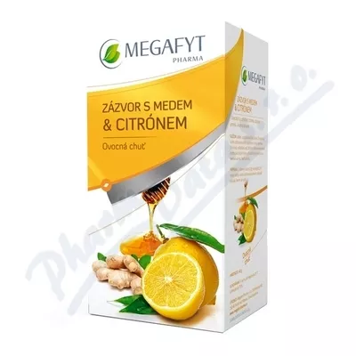 Megafyt Fruit Ginger z miodem i cytryną 20x2g