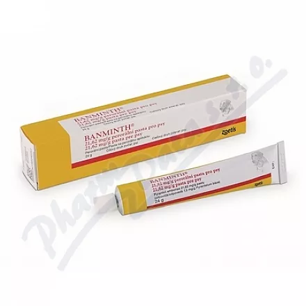 Banminth 21,62mg/g pasta doustna dla psów 24g