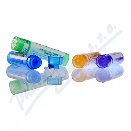 CONIUM MACULATUM GRA 4GM CH30