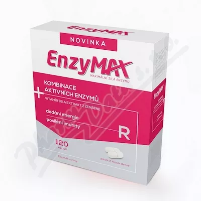 Enzymax R 120 cps.bls. CZE+SLO