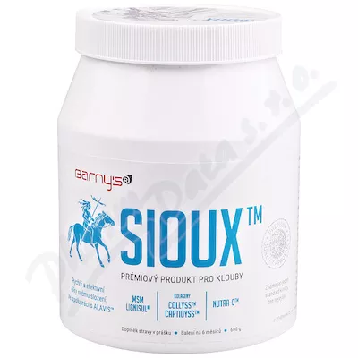 Barny`s Sioux MSM 600 g