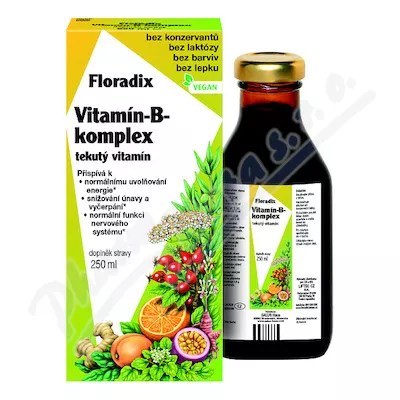 Salus Floradix Vitamin-B-complex 250ml