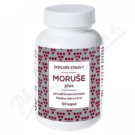 NATURVITA Morwa Plus 90 kapsułek