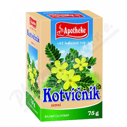 Apotheke Anchovy root herbata sypka 75g