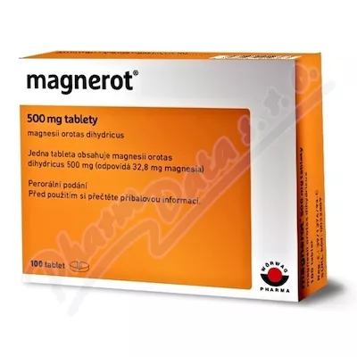 Magnerot 500mg tbl.nob.100 I