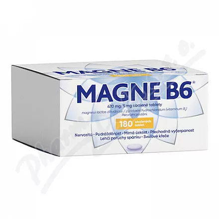 MAGNE B6