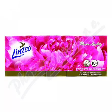 Linteo Papírové kapes.PREMIUM 4vrstvé bílé 10x10ks