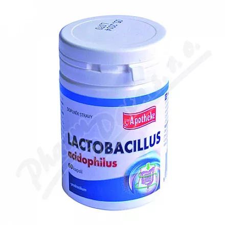 Apotheke Lactobacillus acidophilus cps.60